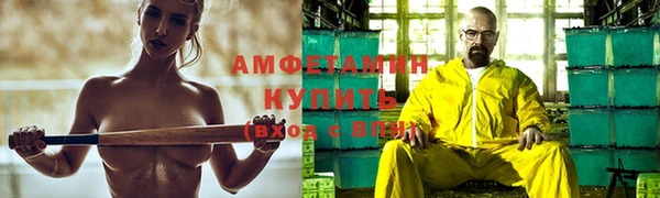 молекула духа Арсеньев