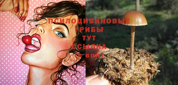 тгк Аркадак