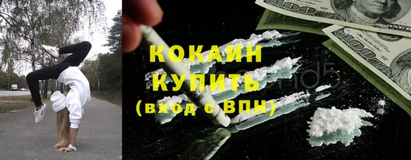 молекула духа Арсеньев