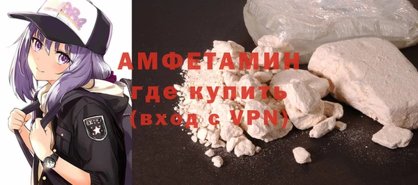 молекула духа Арсеньев