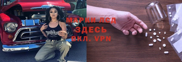 молекула духа Арсеньев