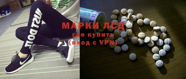 молекула духа Арсеньев