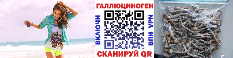 маркетплейс клад  Верхотурье  Псилоцибиновые грибы Magic Shrooms 